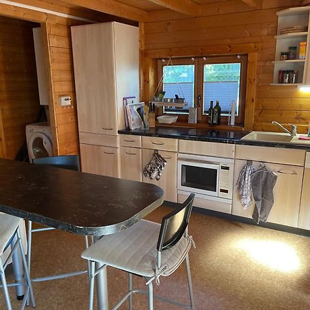 Ferienhaeuser An Den Orgelpfeifen Scheibenberg 外观 照片